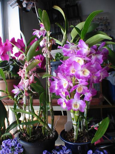 ���������E�E�E